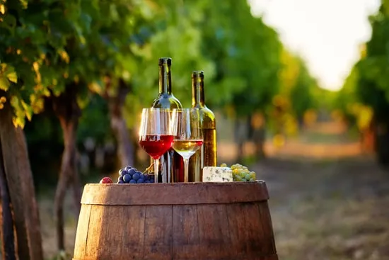Areni Wine Tasting 2