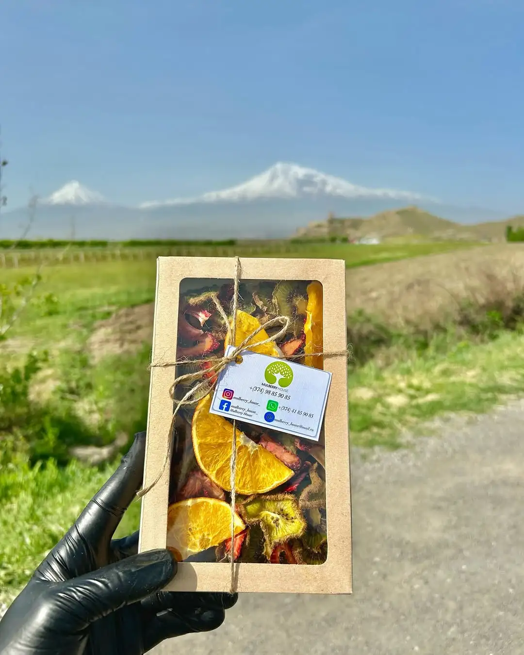 Armenian Dried Fruits