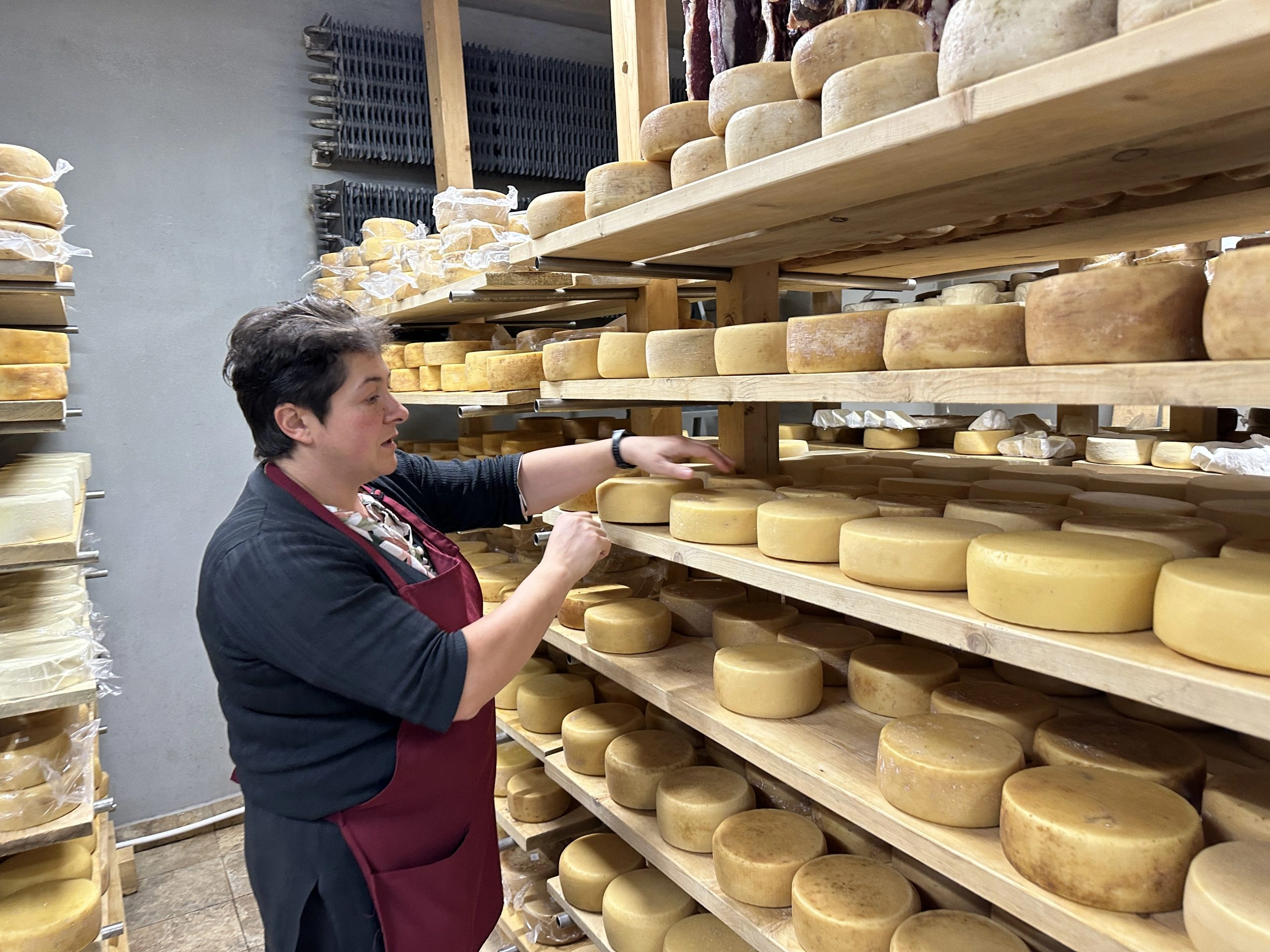 Cheese Factory Visit