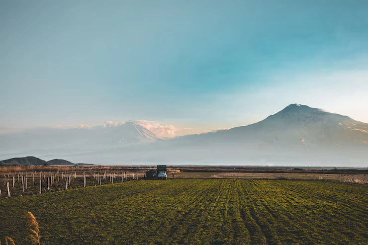Coffee with Ararat