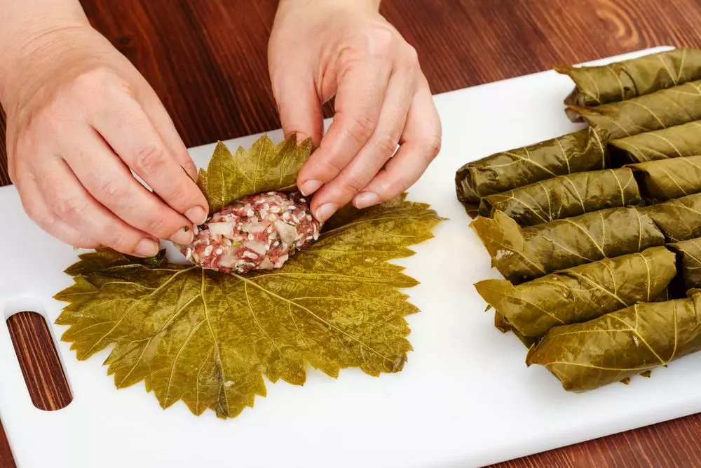 Dolma Masterclass 2